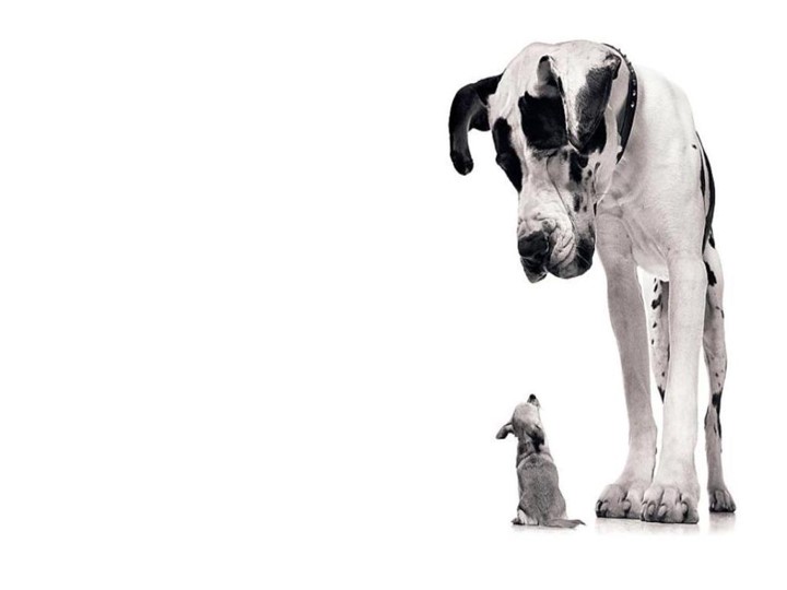 Big and Little Picture